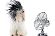 Energy Efficient Air Conditioning