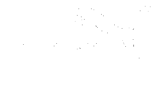 Puma Sponsor